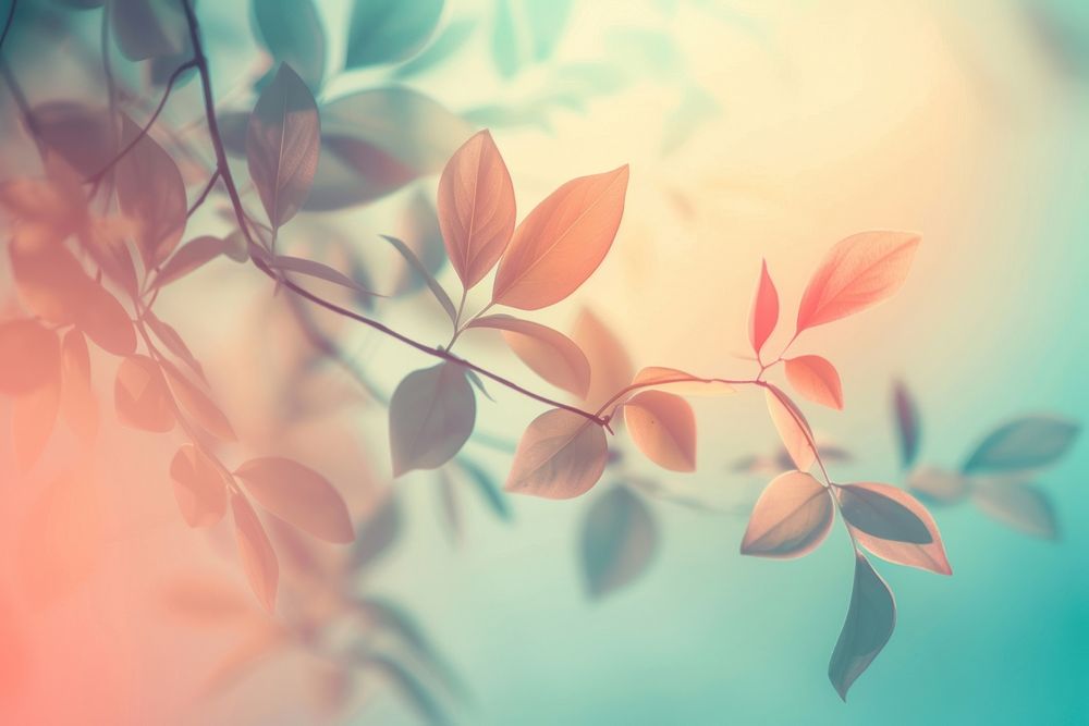 Botanical gradient background backgrounds outdoors nature.