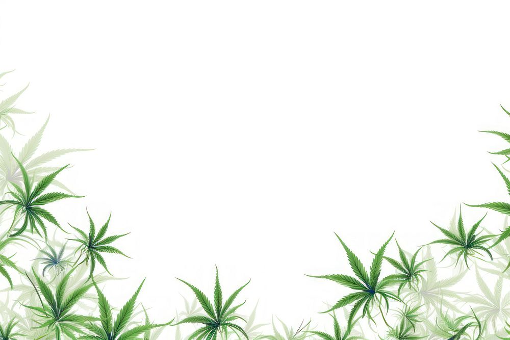 Cannabis border backgrounds cannabis plant.