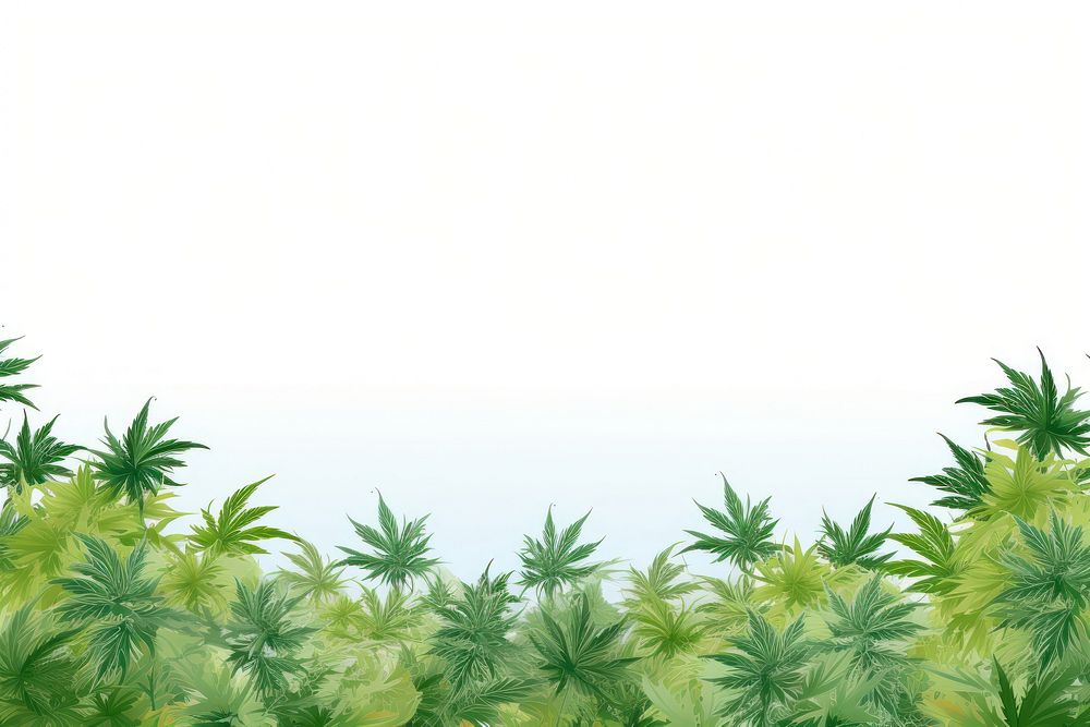 Cannabis flower border backgrounds vegetation cannabis.