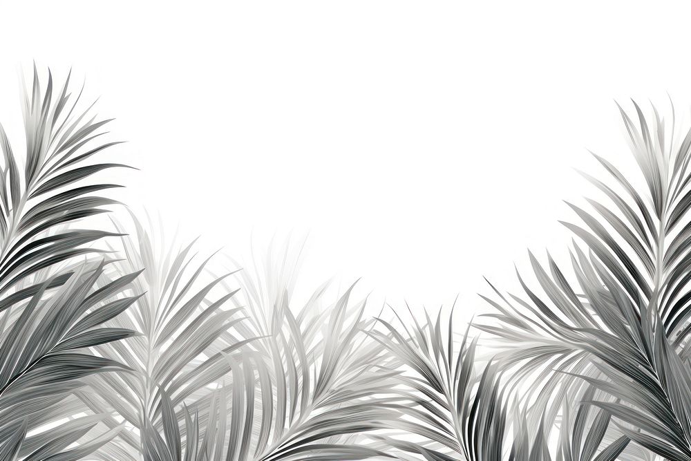 Palm leaves line horizontal border backgrounds outdoors pattern.
