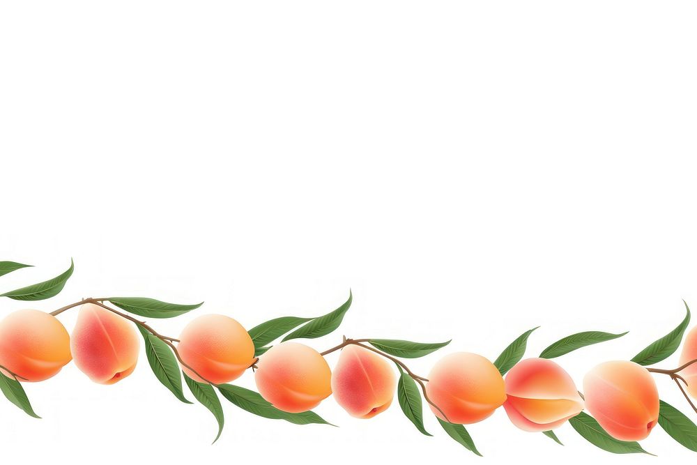 Peach line horizontal border fruit plant white background.