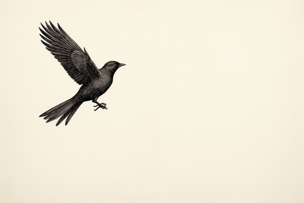 Litograph minimal bird on hand animal flying blackbird.