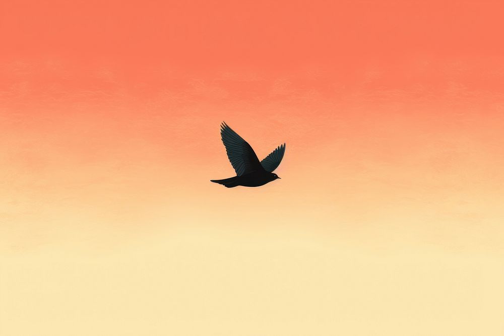 Litograph minimal bird flying animal silhouette blackbird.