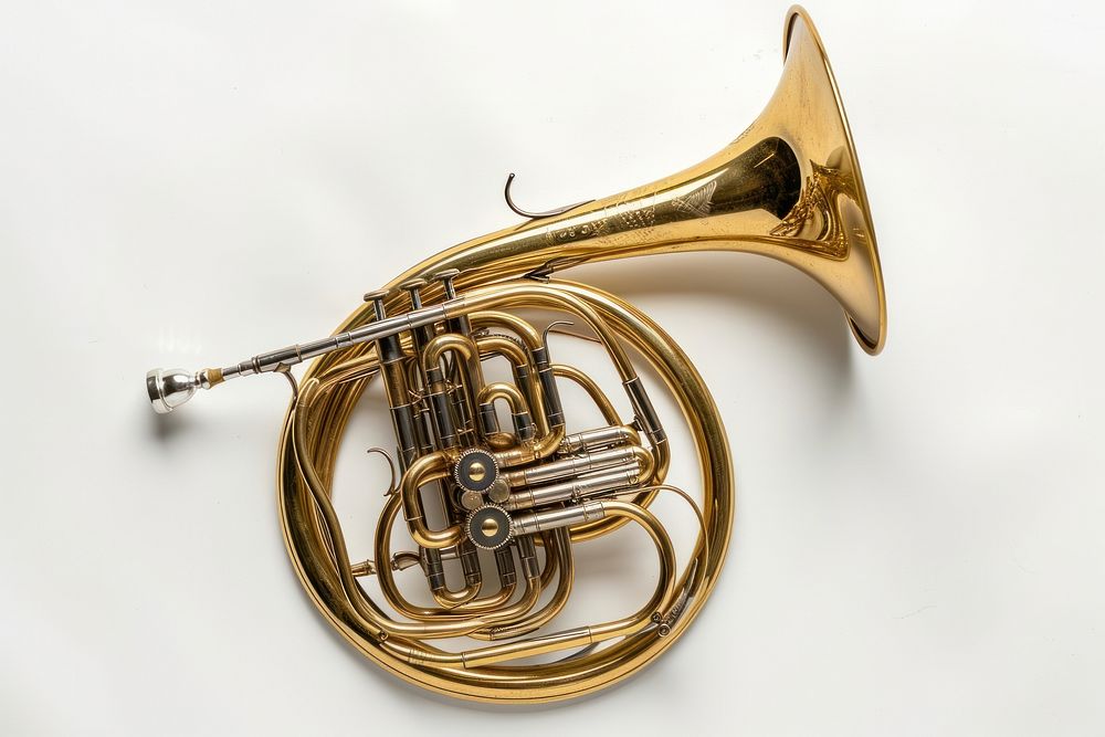 French horn performance french horn sousaphone.