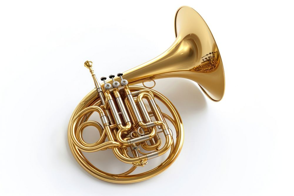 French horn white background performance french horn.