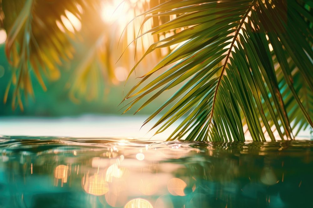 Summer tropical beach background with palm leaves sparkling water reflections summer backgrounds sunlight.