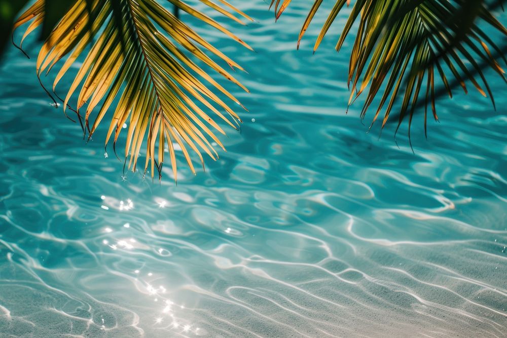 Summer tropical beach background with palm leaves sparkling water reflections summer backgrounds underwater.
