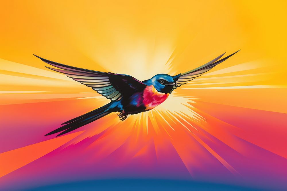 Bird hummingbird animal flying.