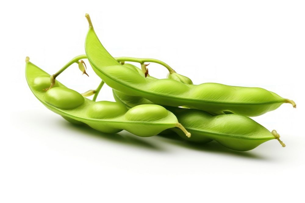 Edamame fresh soybean vegetable plant food.