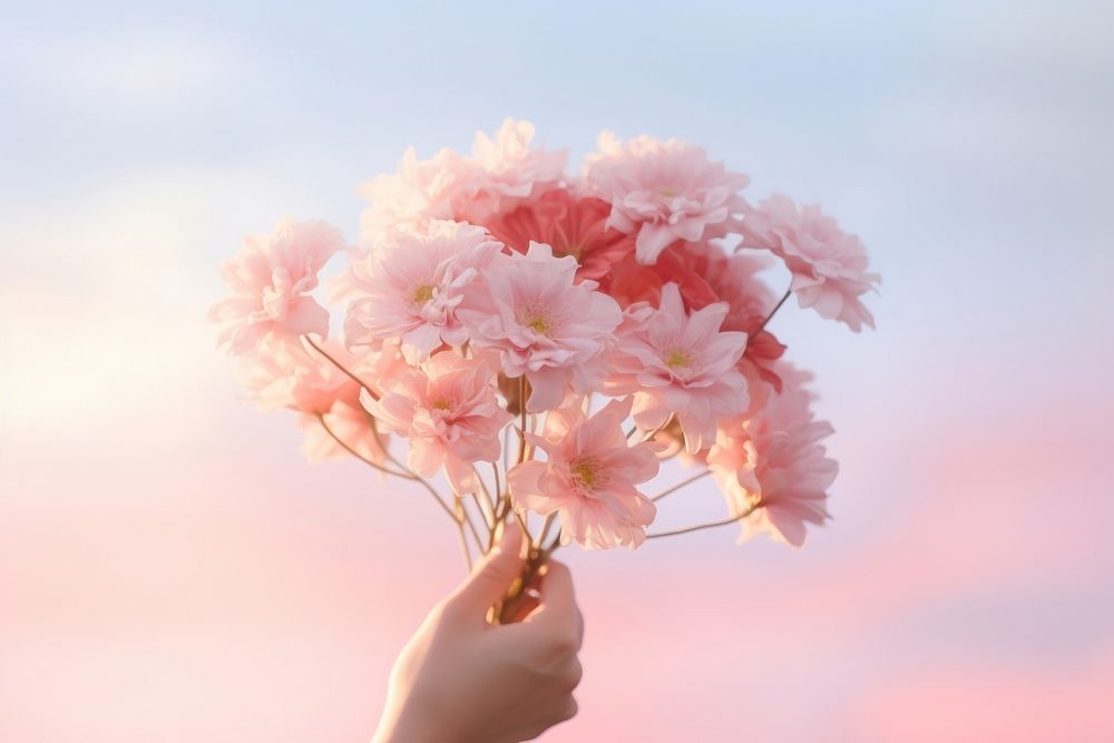 Person holding flowers outdoors blossom nature.