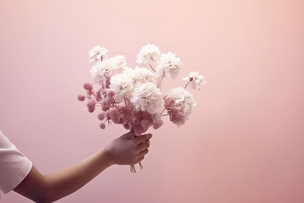 Person holding flowers background blossom petal plant.