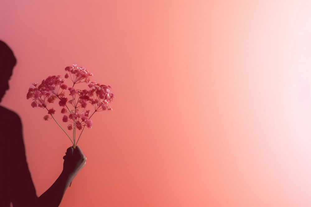 Person holding flowers gradient background nature adult petal.
