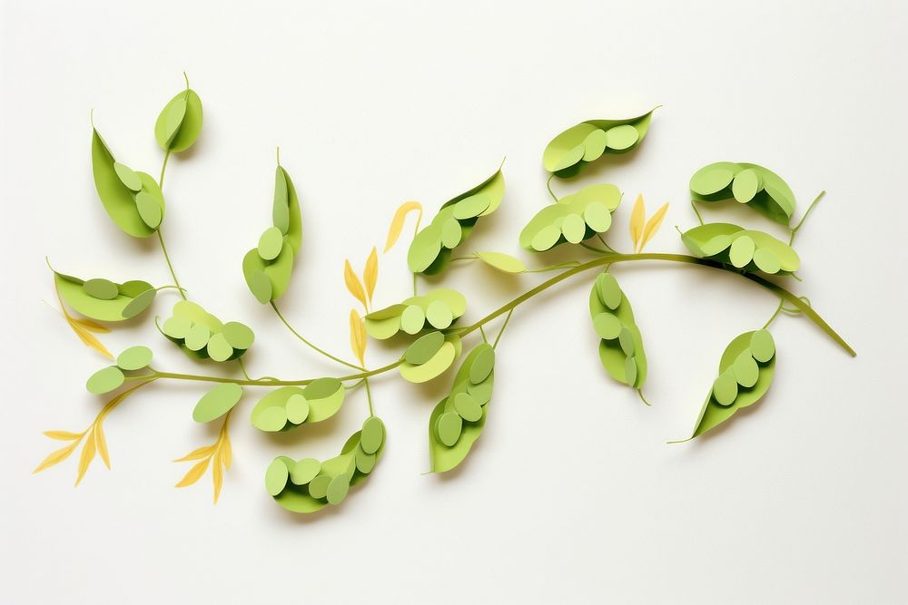 Edamame fresh soybean vegetable plant leaf.
