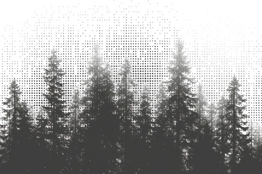 Abstract forest effect backgrounds abstract outdoors.