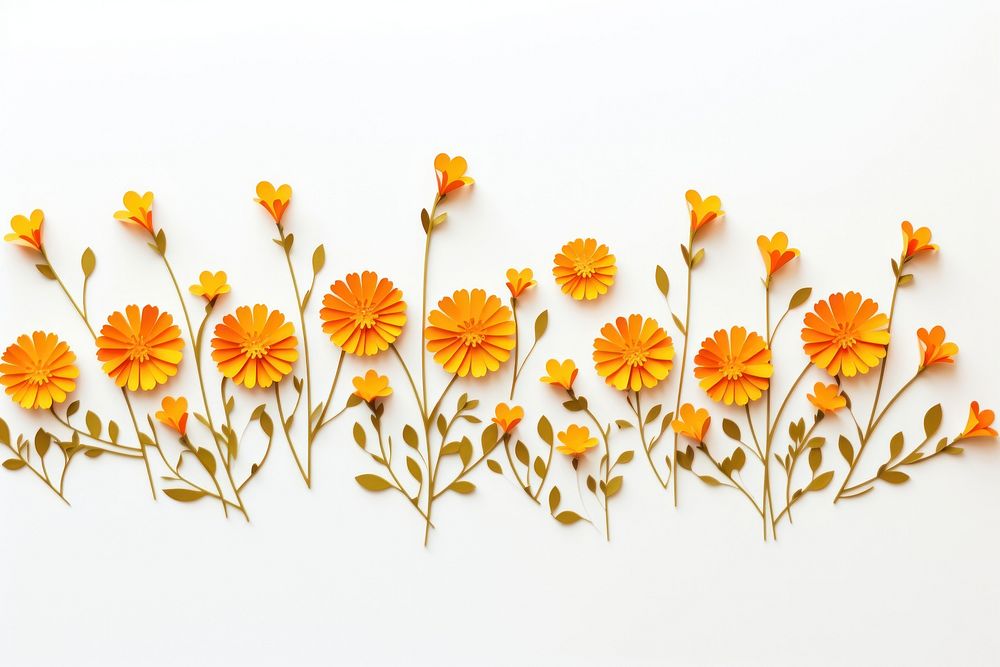 Marigold floral border flower pattern plant.