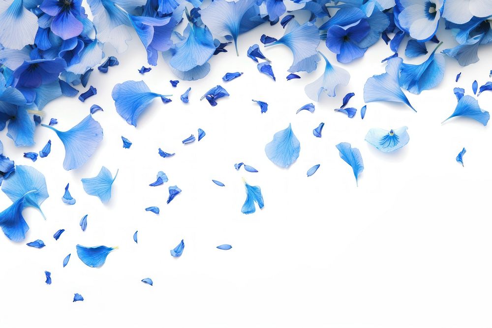 Floral overlay with flying blue flowers petal backgrounds confetti.