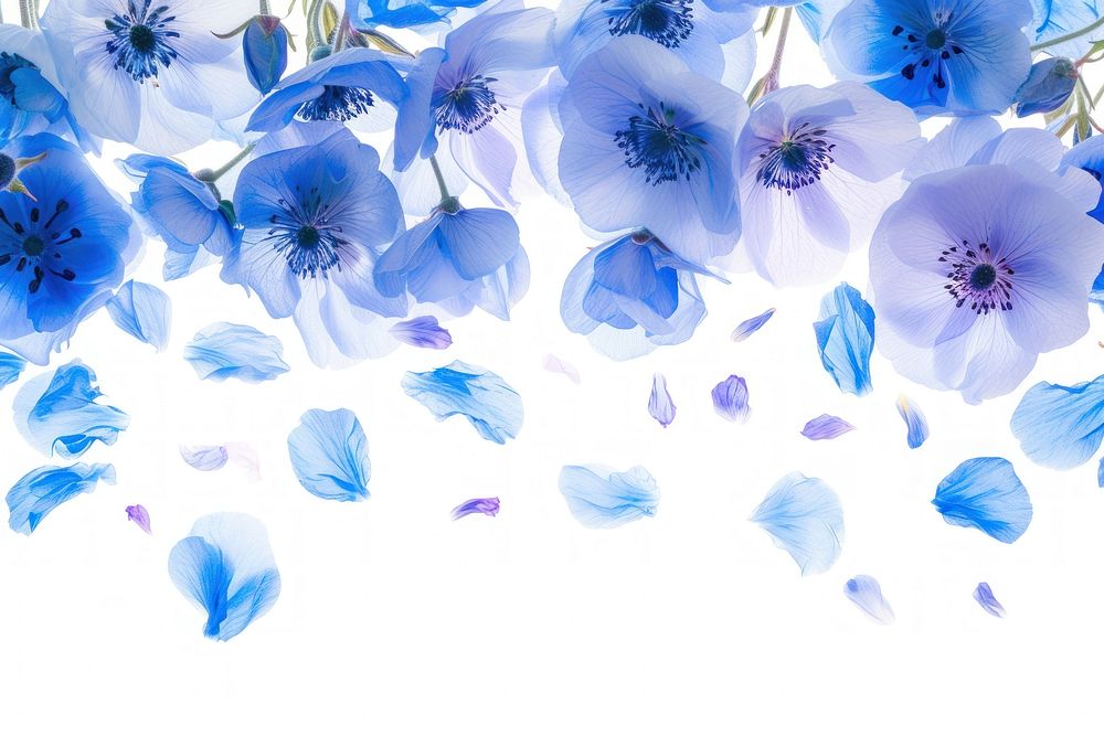 Floral overlay with flying blue flowers petal backgrounds nature.