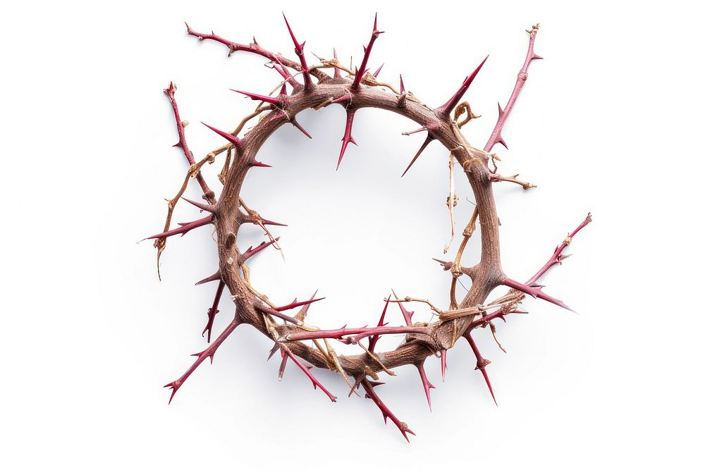 Crown of thorns white background celebration circle.