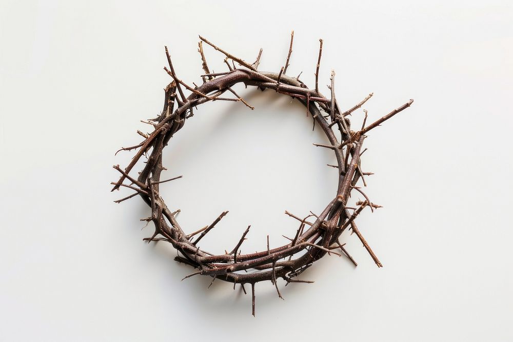 Crown of thorns white background accessories accessory.