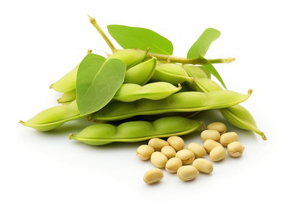 Eda mame fresh soybean vegetable plant food.