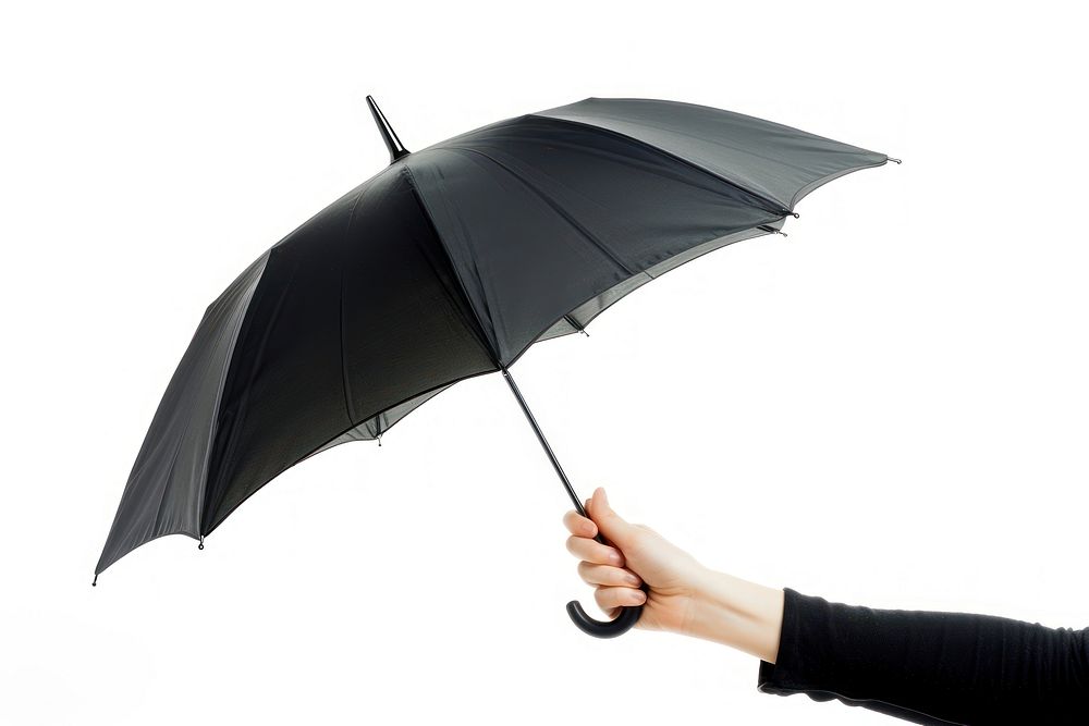 Hand holding black color umbrella adult white background protection.