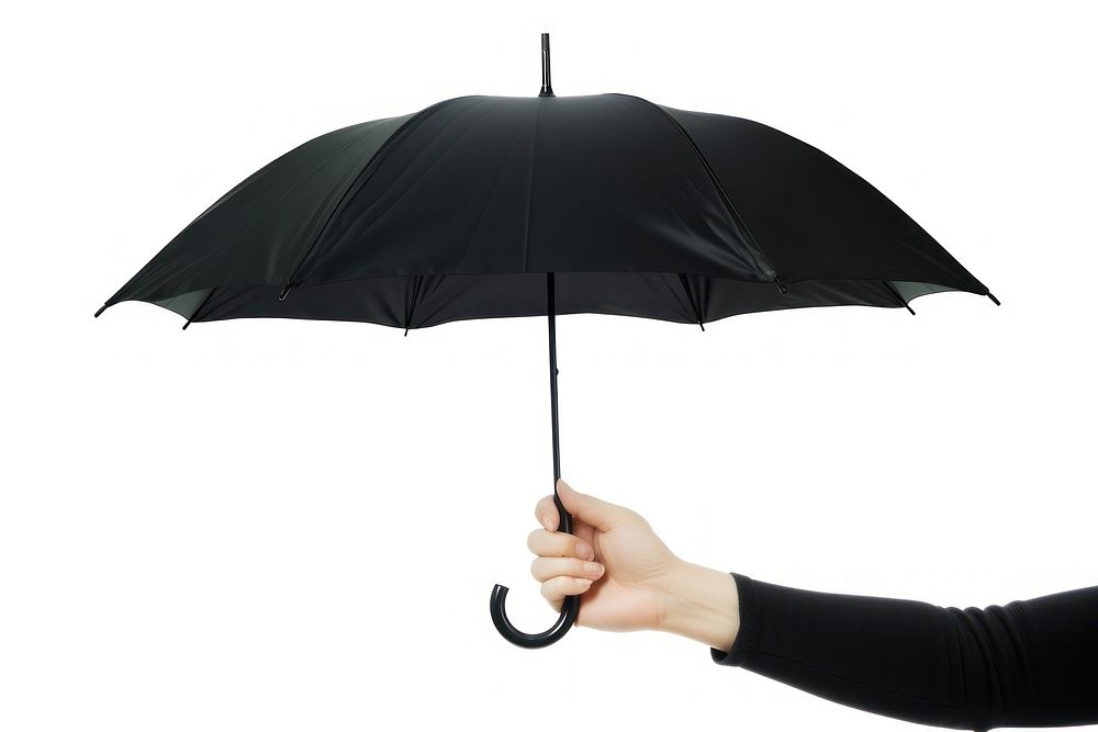 Hand holding black color umbrella adult white background sheltering.