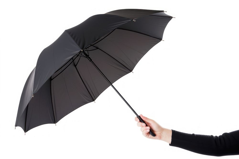 Hand holding black color umbrella white background protection sheltering.
