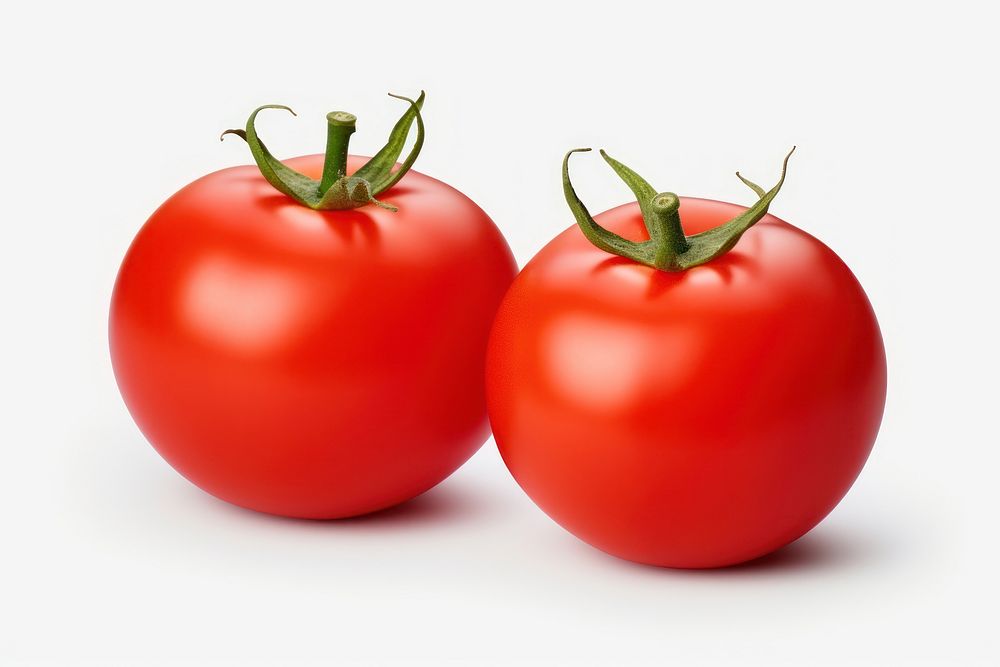 Tomatos tomato vegetable plant.