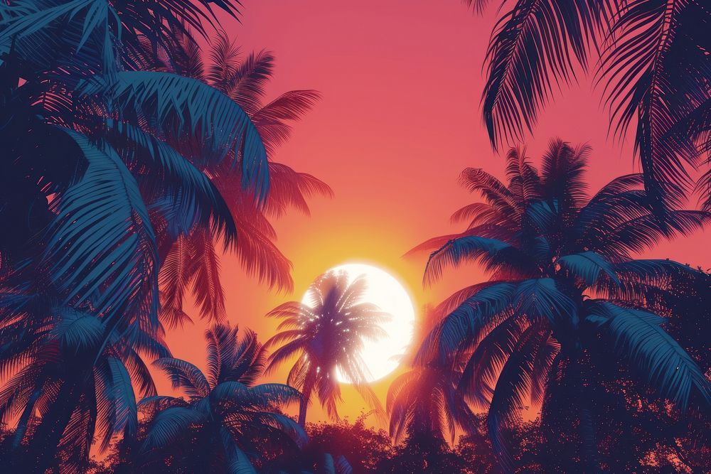 Coconut trees outdoors nature sunset.