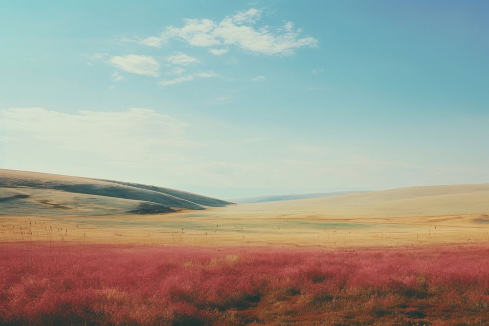 Minimal-large grassland landscape outdoors horizon.