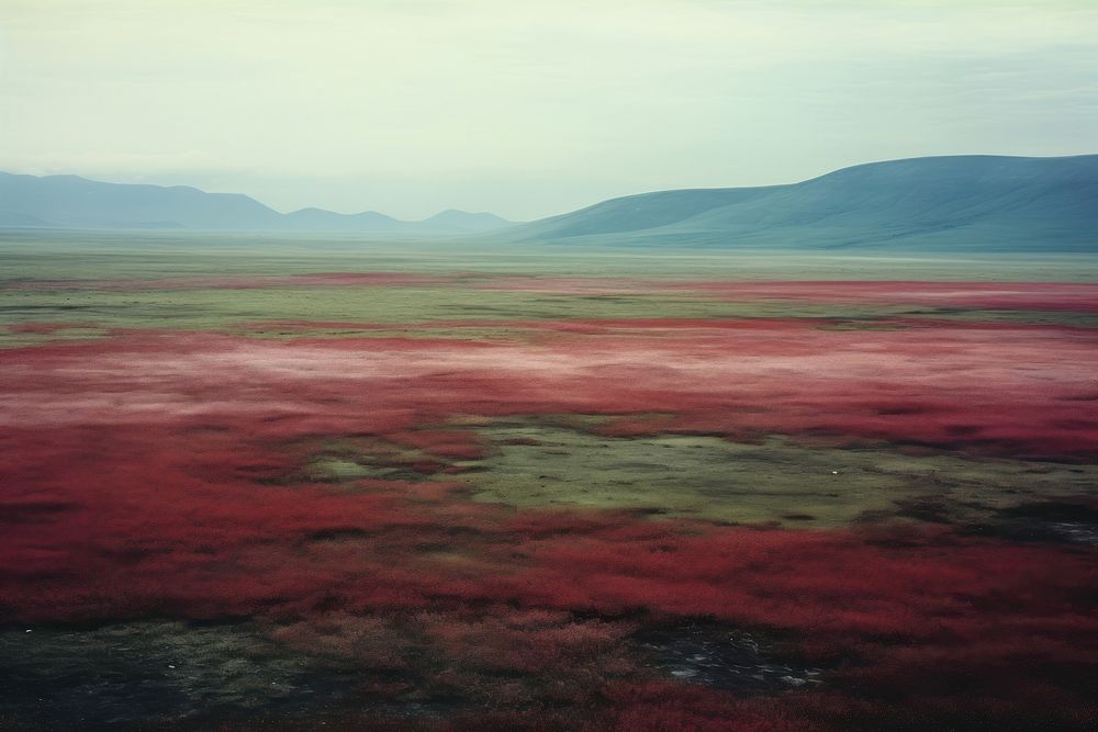 A minimal-large grassland landscape red tranquility.