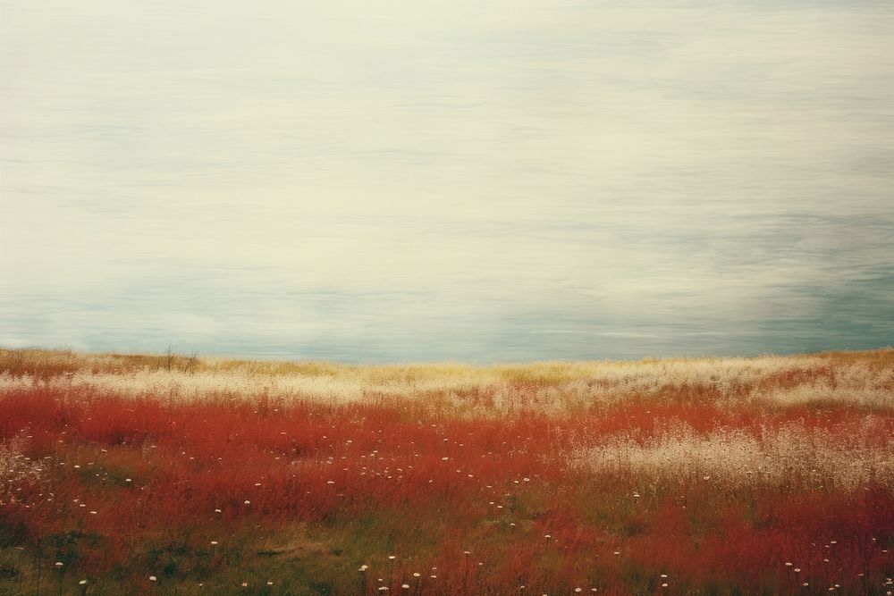 Minimal-large grassland landscape outdoors painting.