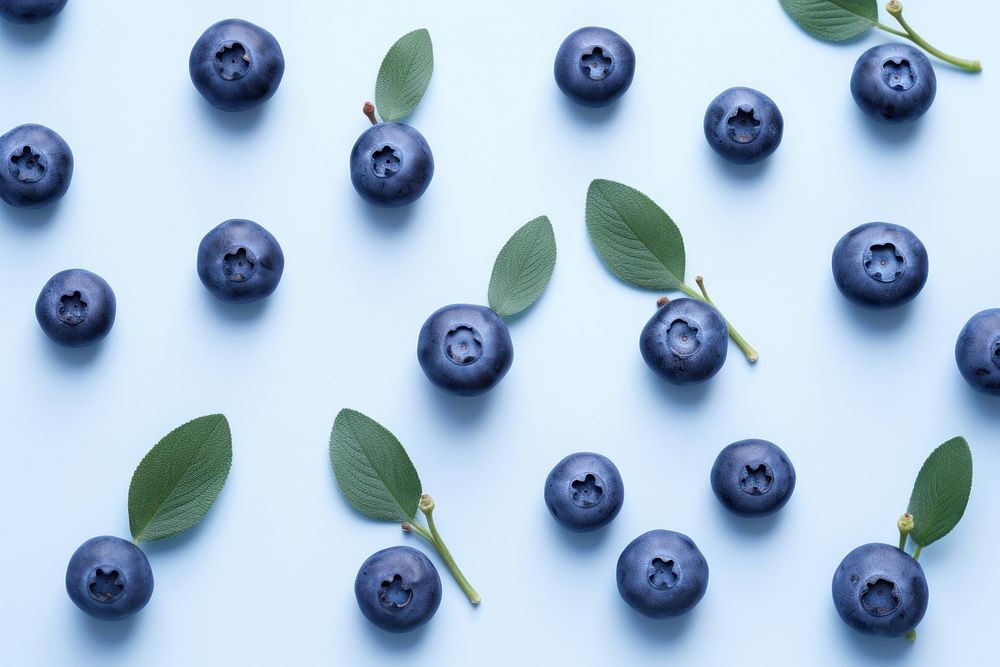 Cute simple blueberry pattern fruit plant food.