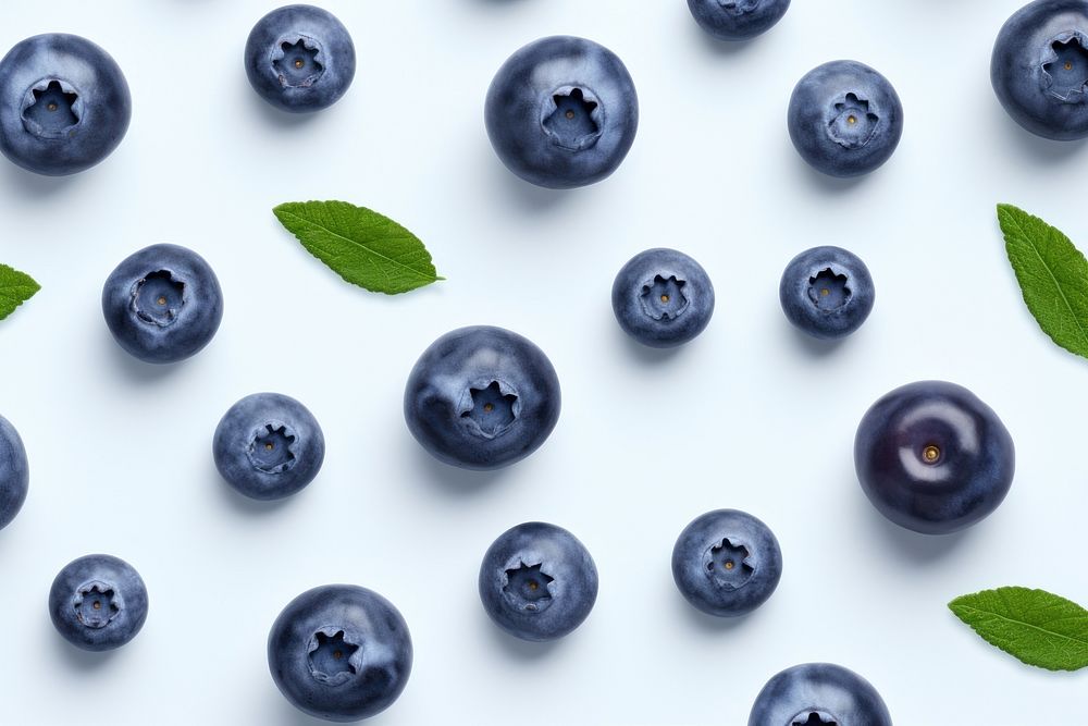 Cute simple blueberry pattern fruit plant food.