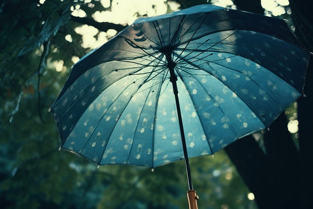 Umbrella rain monochrome sheltering.