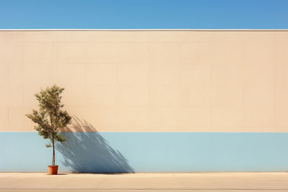 Large building wall at school in daytime architecture outdoors plant.