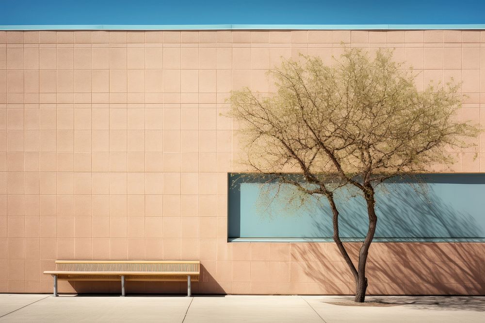 School in spring building wall architecture.