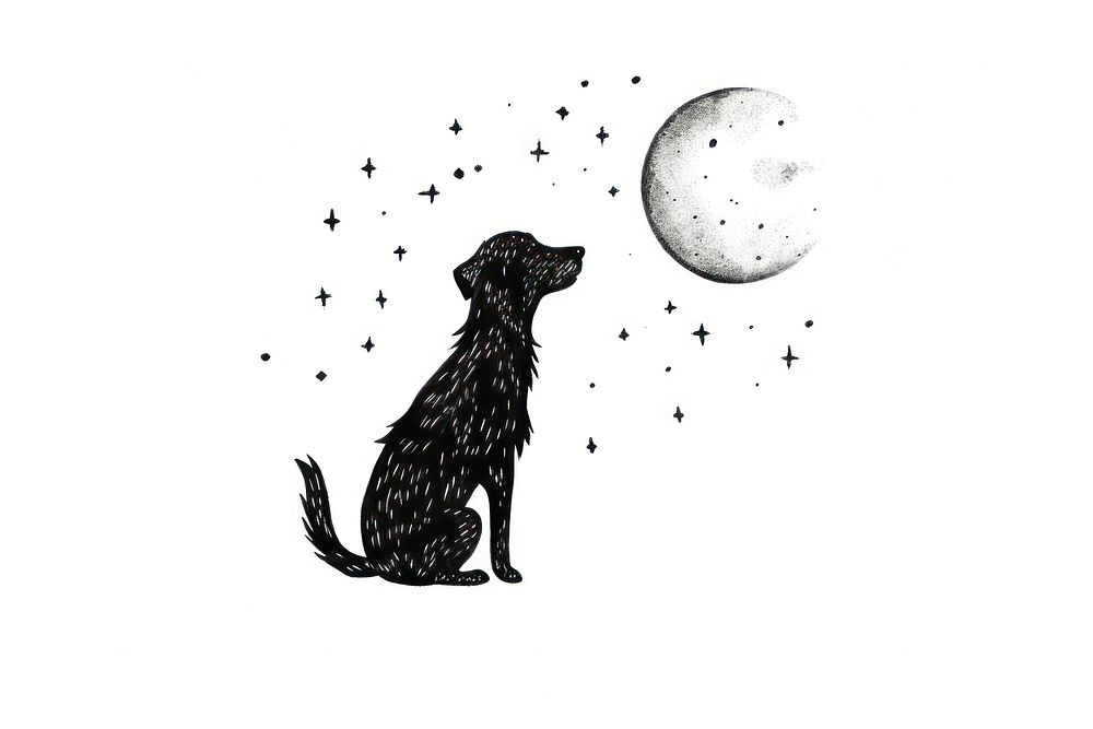 Dog silhouette astronomy animal.