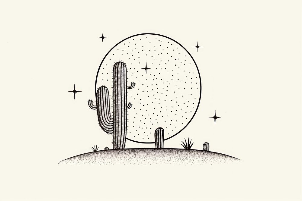 Cactus drawing sketch line.