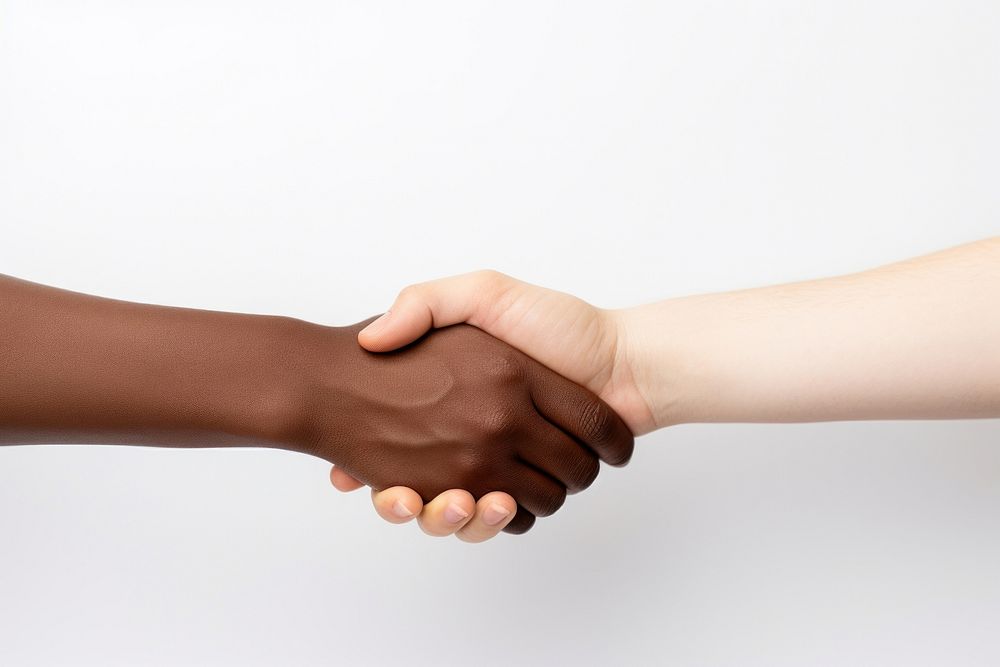 Handholding handshake white background agreement.