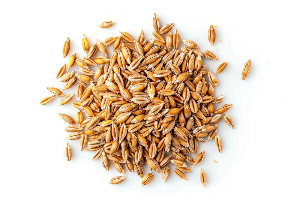 Farro hulled wheat food white background ingredient.