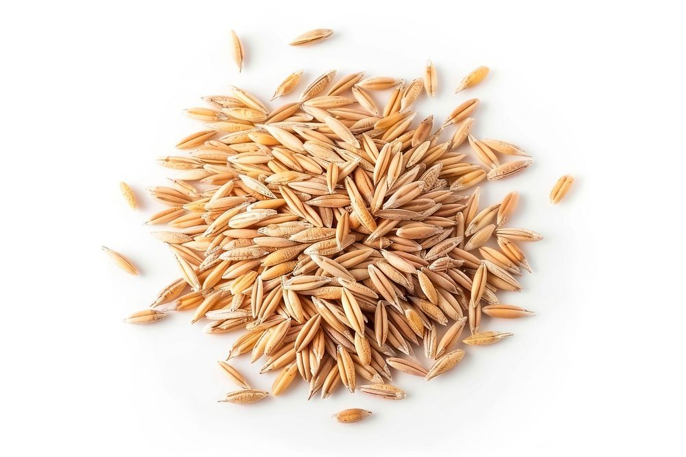 Farro hulled wheat food white background ingredient.