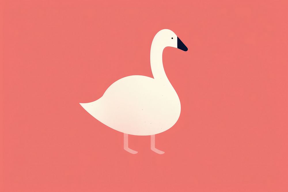 Swan flamingo animal nature.