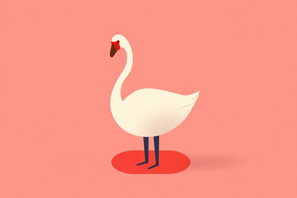 Swan flamingo animal bird.