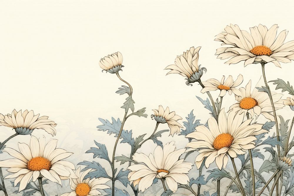 Daisy isolated flower backgrounds sketch.