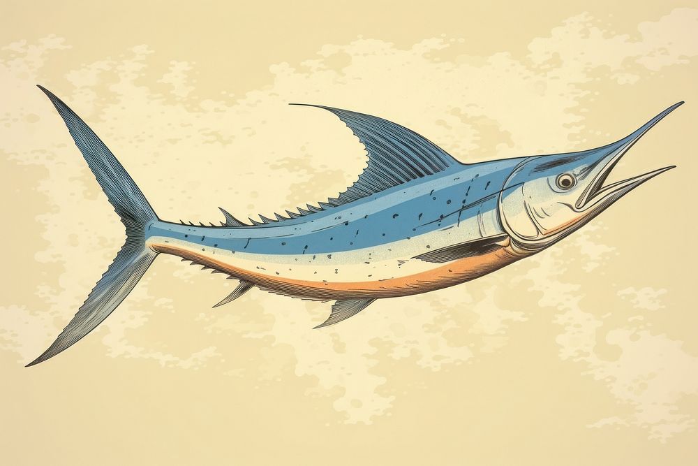 Fish swordfish animal drawing.