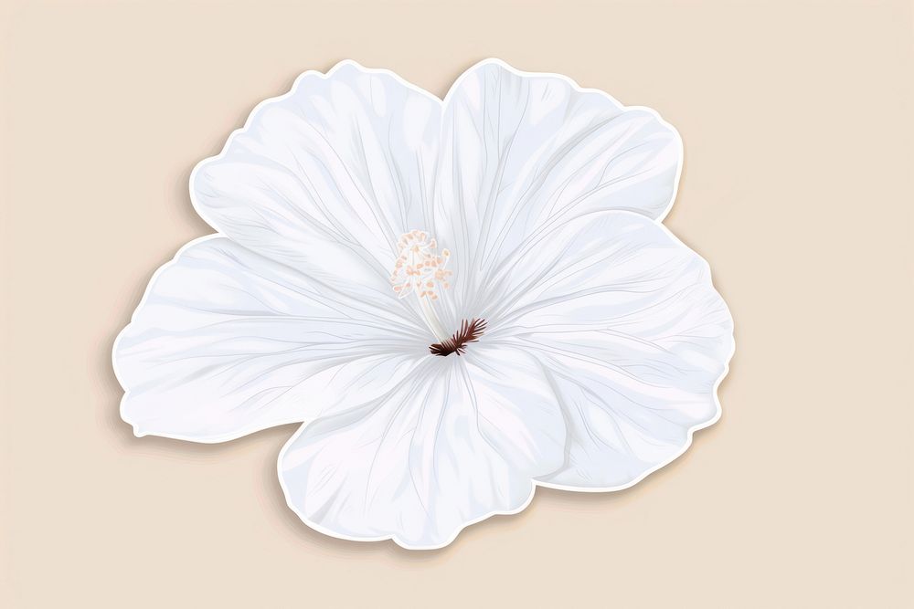 White flower sticker hibiscus petal plant.