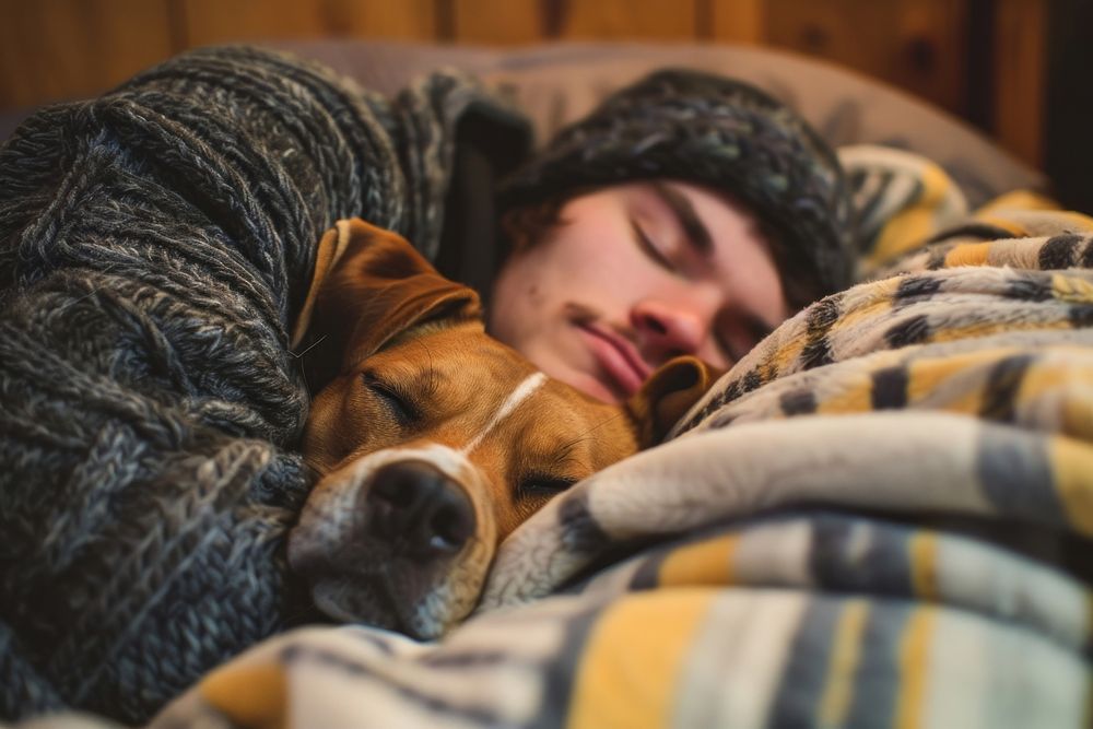 Person cuddling a dog blanket adult comfortable.