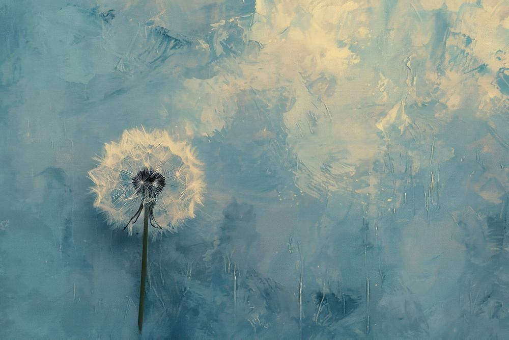Dandelion backgrounds painting fragility.