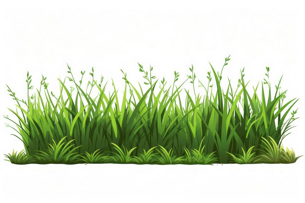 Grass outdoors nature plant.